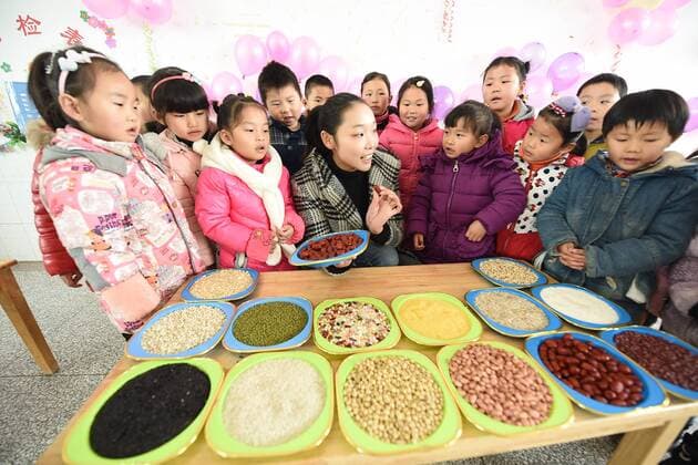 January 4, 2017 - Lianyungang, Lianyungang, China - Lianyungang, CHINA-January 4 2017: (EDITORIAL USE ONLY. CHINA OUT)..Pupils learn to recognize five kinds of cereals under the guidance of teacher at a primary school in Donghai County, Lianyungang City,east China s Jiangsu Province, January 4th, 2017, celebrating the Laba Rice Porridge Festival which falls on January 5th this year. The Laba Rice Porridge Festival is a traditional Chinese festival falls on the 8th day of the 12th month of lunar calendar. It s customary on this day to drink the special porridge, usually stewed of at least eight ingredients. With rice as the main ingredient, this porridge may well contain ingredients like broad beans, red beans, mung beans, red dates, peanuts, chest nuts, both tasty and nutritious. Lianyungang China - ZUMAs145 20170104_zaa_s145_183