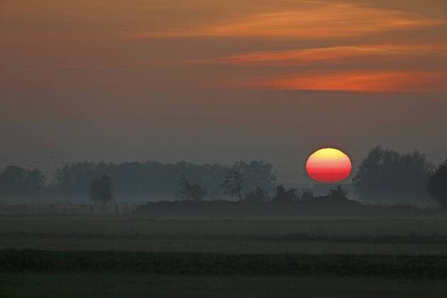 Sonnenuntergang ueber Wiesenlandschaft, Niederlande, Gelderland, Arkemheen sunset at a meadow landscape, Netherlands, Gelderland, Arkemheen BLWS442991 Copyright: xblickwinkel M.xWoikex