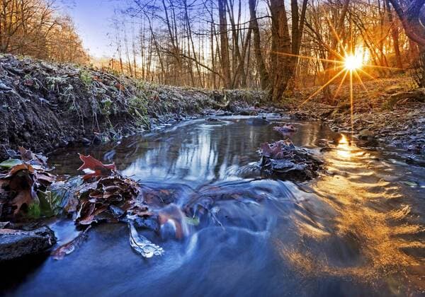 Borbach bei Sonnenaufgang im Winter, Deutschland, Nordrhein-Westfalen, Ruhrgebiet, Witten Borbach creek at sunrise in winter, Germany, North Rhine-Westphalia, Ruhr Area, Witten BLWS443049 Copyright: xblickwinkel S.xZiesex