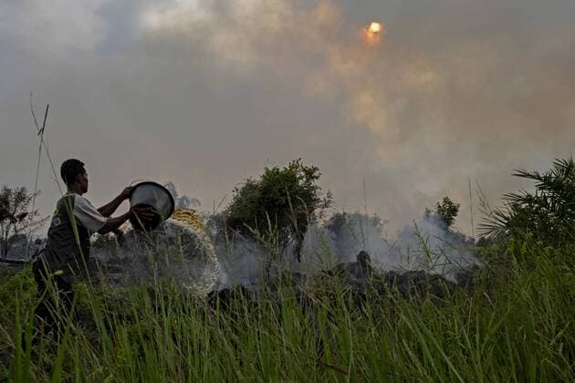 IMAGO Nature: Unsere Erde, Umweltverträgliche Herausforderungen, Palmöl January 18, 2017 - Pekanbaru, Riau, Indonesia - A villager attempts to extinguish the fire burned forests and plantations in Riau, Indonesia. The air pollution or haze has been an annual problem for the past 18 years in Indonesia. It s caused by the illegal burning of forest and peat fires on the islands of Sumatra and Borneo to clear new land for the production of pulp, paper and palm oil. Singapore and Malaysia have offered to help the Indonesian government to fight against the fires, as infants and their mothers are evacuated to escape the record pollution levels. Pekanbaru Indonesia - ZUMAs221 20170118_zap_s221_001