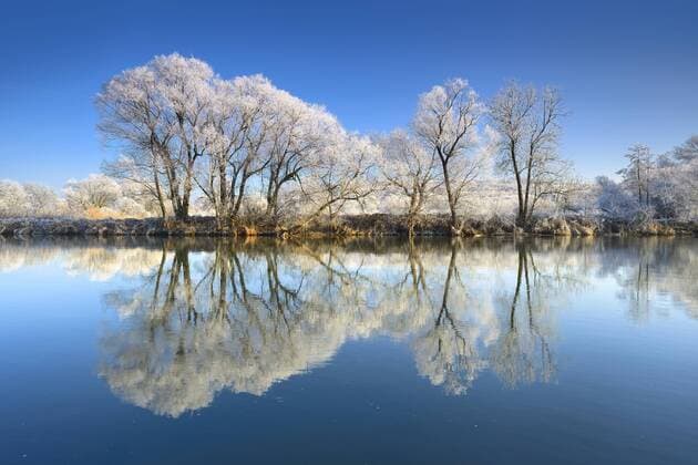 Bäume mit Raureif spiegeln sich im Fluss Saale, bei Weißenfels, Wasserspiegelung, Sachsen-Anhalt, Deutschland, Europa Copyright: imageBROKER/AndreasxVitting iblavi04465559.jpg