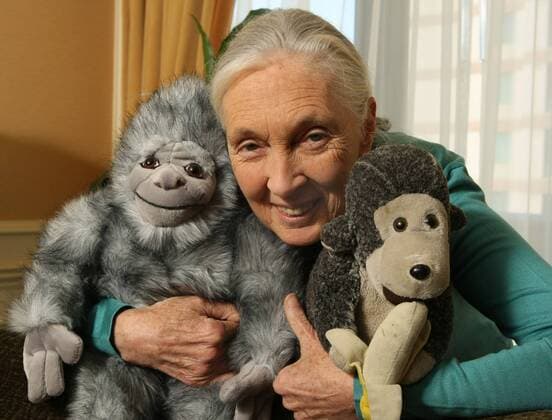 IMAGO ICONS: Jane Goodall Feb 08, 2006 - Toronto, ON, Canada - JANE GOODALL speaks to reporters in Toronto on September 13, 2007, accompanied by Mr. H., a gift she always takes on the road.  - ZUMAt14_ 20060208_mdm_t14_396 Copyright: xRonxBullx