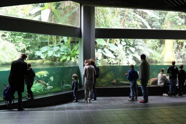 29.03.2016, Berlin, Deutschland - Menschen betrachten Fische in einem Schaubecken im Aquarium. 00S160329D810.JPG MODEL RELEASE: NO, PROPERTY RELEASE: NO MR:N