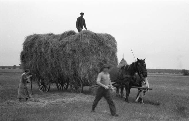 Bauern bei der Ernte GER,20160101, Aufnahme ca.1930, Bauern bei der Ernte