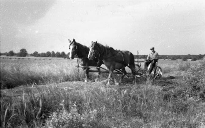 Bauern bei der Ernte GER,20160101, Aufnahme ca.1930, Bauern bei der Ernte