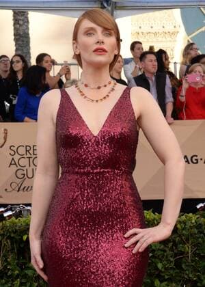 Actress Bryce Dallas Howard arrives for the the 23rd annual SAG Awards held at the Shrine Auditorium in Los Angeles on January 29, 2017. The Screen Actors Guild Awards will be broadcast live on TNT and TBS.  LAP20170129428 JIMxRUYMEN