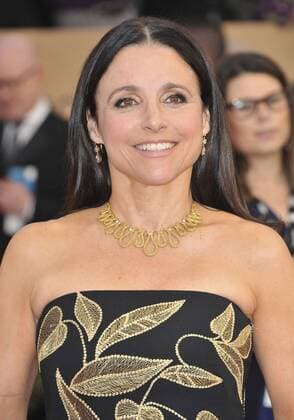 Julia Louis-Dreyfus SCREEN ACTORS GUILD AWARDS: ARRIVALS Los Angeles Patrick Rideaux PicturePerfect