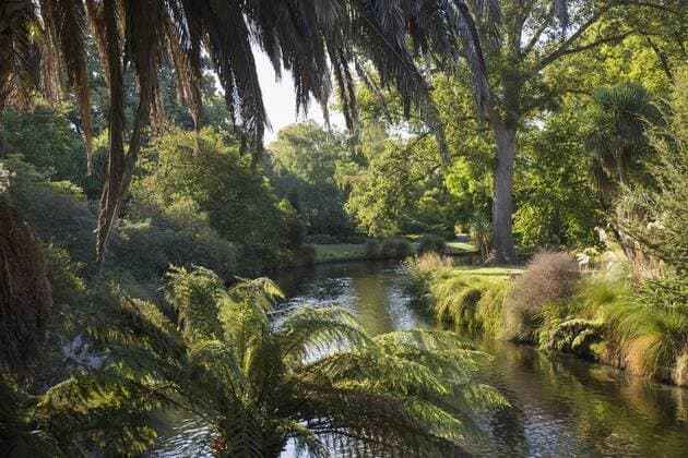 View along the palm-fringed Avon River in Christchurch Botanic Gardens, Christchurch, Canterbury, South Island, New Zealand, Pacific Copyright: RuthxTomlinson 390-2945
