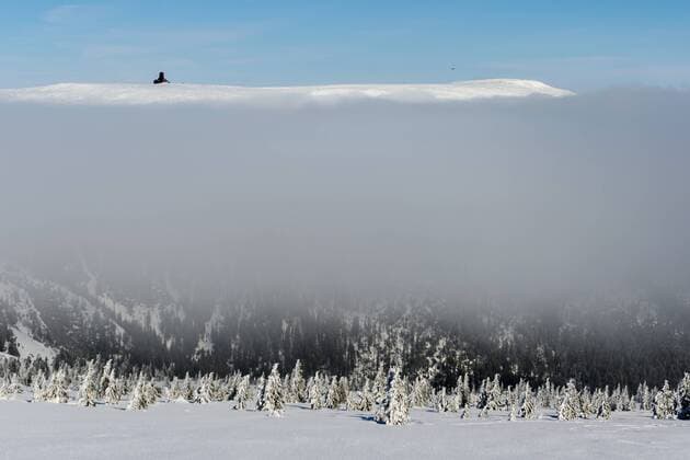 Clouds laying low due to inversion weather in Krkonose mountains (Giant), Czech Republic, February 9, 2017. (CTKxPhoto DavidxTanecek) CTKPhotoP201702090771701  TAD 012