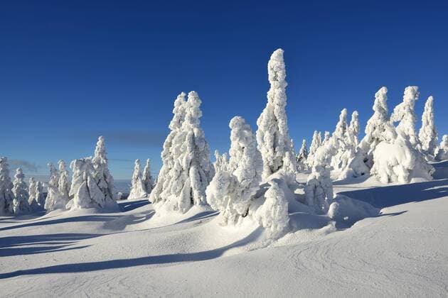 Winter auf dem Brocken, tief verschneite Fichten, schneegebeugt, Nationalpark Harz, Sachsen-Anhalt, Deutschland, Europa Copyright: imageBROKER/AndreasxVitting iblavi04481518.jpg