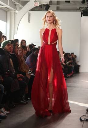 February 10, 2017 - New York, New York, U.S. - The Pamella Roland F W 2017 Fashion Show.Pier 59, Chelsea Piers, NYC.February 10, 2017.Photos by , Photos Inc.2017 New York U.S. - ZUMAms4_ 20170210_zaf_ms4_021 Copyright: xSoniaxMoskowitzx