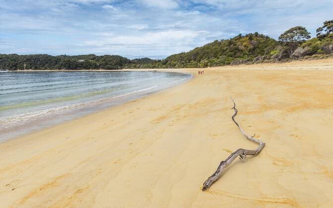  Strand Anchorage Bay, Abel-Tasman-Nationalpark, Tasman, Südinsel, Neuseeland, Ozeanien Copyright: imageBROKER/MoritzxWolf ibxmmw04482048.jpg
