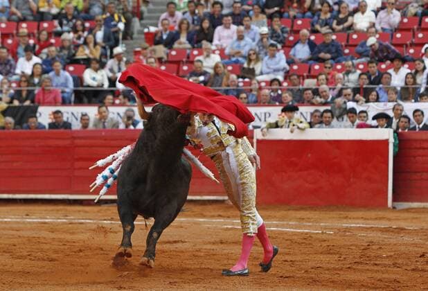 Spanish bullfighter Paco Urena fights his first bull of the afternoon, No que no of 526 kilograms, during the run 15 of the Temporada Grande in the Plaza de Toros Mexico, in Mexico City, Mexico, on 12 February 2017. BULLFIGHTING IN MEXICO !ACHTUNG: NUR REDAKTIONELLE NUTZUNG!  Copyright: xMarioxGuzmánx MEX25 20170213-636225539025870132