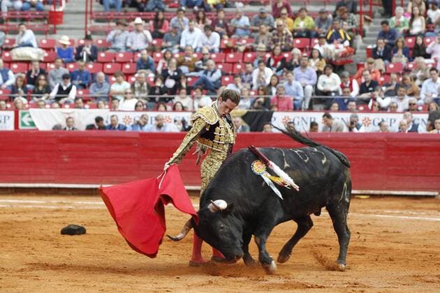 Mexican bullfighter Arturo Saldivar fights his first bull of the afternoon, Eso y más of 538 kilograms, during the run 15 of the Temporada Grande in the Plaza de Toros Mexico, in Mexico City, Mexico, on 12 February 2017. BULLFIGHTING IN MEXICO !ACHTUNG: NUR REDAKTIONELLE NUTZUNG!  Copyright: xMarioxGuzmánx MEX25 20170213-636225539743612329