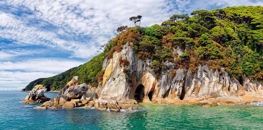  Tropisch bewachsene bizarre Felsformation, Tonga Bay, Abel Tasman Nationalpark, Tasman, Südinsel, Neuseeland, Ozeanien Copyright: imageBROKER/MichaelxRucker ibxrum04461729.jpg