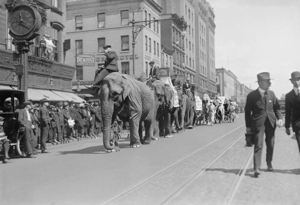 November 29, 2016 - Circus Parade, New York City, New York, USA, Bain News Service, April 1920 - ZUMAg145 20161129_zza_g145_004 Copyright: xJTxVintagex