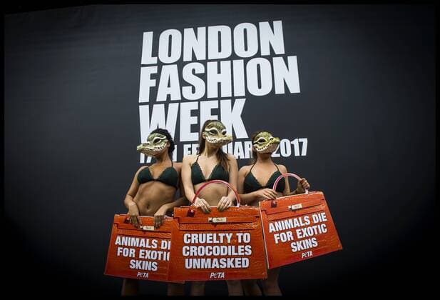 . 17 02 2017. London, United Kingdom. Peta models wearing crocodile masks stage a protest against the use of crocodile skin being used in fashion, on the first day of London Fashion Week on The Strand, London, UK.  xBenxStevensx xi-Imagesx IIM-14409-0005