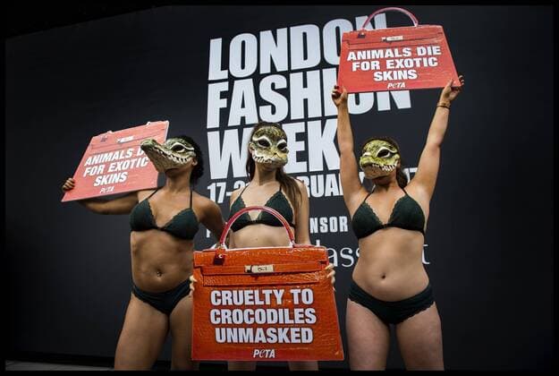 . 17 02 2017. London, United Kingdom. Peta models wearing crocodile masks stage a protest against the use of crocodile skin being used in fashion, on the first day of London Fashion Week on The Strand, London, UK.  xBenxStevensx xi-Imagesx IIM-14409-0008