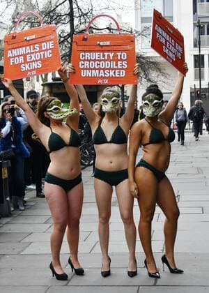 . 17 02 2017. London, United Kingdom. PETA models crash London Fashion Week. A trio of nearly naked models dressed in little more than lingerie and crocodile masks crash the first day of London Fashion Week, brandishing signs proclaiming, Cruelty to Crocodiles Unmasked and Animals Die for Exotic Skins. The action follows a recent PETA expose of crocodile farms in Vietnam including two that have supplied skins to a tannery owned by Louis Vuitton s parent company, LVMH which revealed that the animals are confined to tiny pits and sometimes hacked apart while they re still alive and thrashing, at 180 The Strand, London  xNilsxJorgensenx xi-Imagesx IIM-14415-0004