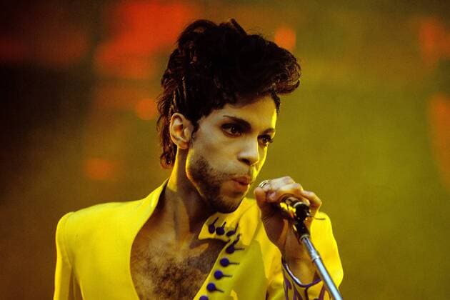Prince, Konzert Waldbühne in Berlin 1992