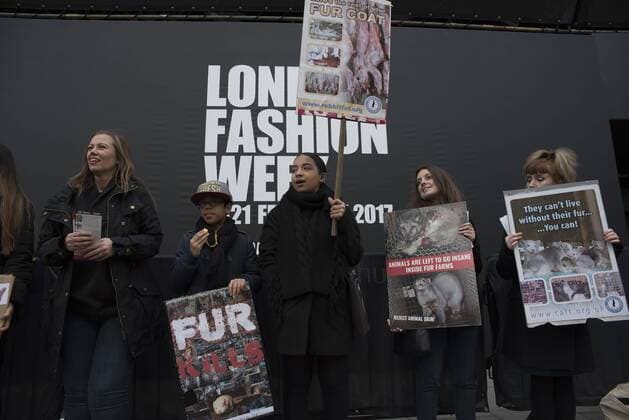London Fashion Week: Animalist Protest Animalist protest against the use of fur and skin, outside 180 Strand, the principal location of London Fashion Week. Protester hold placard with images of skinned animals and masks.  AlbertoxPezzali