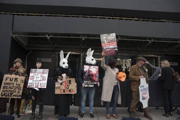 London Fashion Week: Animalist Protest Animalist protest against the use of fur and skin, outside 180 Strand, the principal location of London Fashion Week. Protester hold placard with images of skinned animals and masks.  AlbertoxPezzali