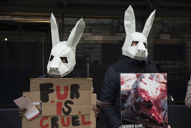 London Fashion Week: Animalist Protest Animalist protest against the use of fur and skin, outside 180 Strand, the principal location of London Fashion Week. Protester hold placard with images of skinned animals and masks.  AlbertoxPezzali