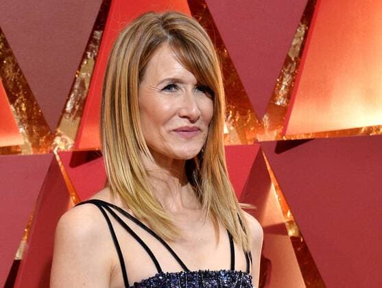 Actress Laura Dern arrives on the red carpet for the 89th annual Academy Awards at the Dolby Theatre in the Hollywood section of Los Angeles on February 26, 2017.  LAP20170226400 JIMxRUYMEN