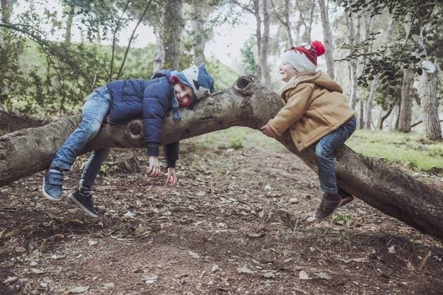 IMAGO Kreativ: Bruderschaft Two boys playing on tree in forest model released Symbolfoto  RTBF00633