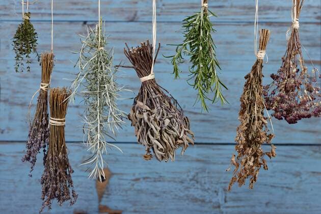 Herbs hanging out to dry  LBF01529
