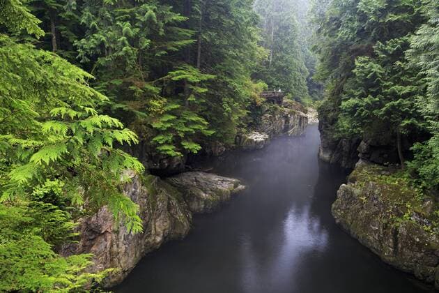 Capilano River Regional Park, Vancouver, British Columbia, Canada, North America Copyright: RichardxCummins 776-4834