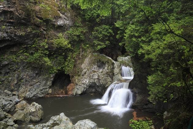 Twin Falls, Lynn Canyon Park, Vancouver, British Columbia, Canada, North America Copyright: RichardxCummins 776-4838