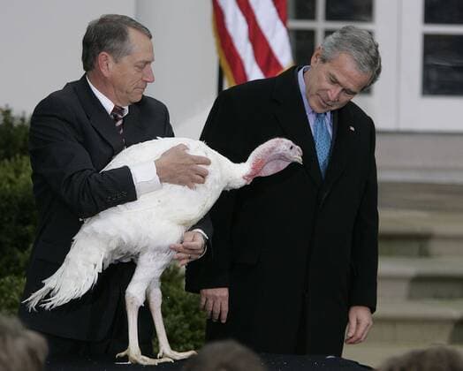 Nov. 22, 2006 - U.S. - President George W. Bush, right, looks over at Flyer the turkey, held by Lynn Nutt, after giving the bird a Thanksgiving pardon in the Rose Garden of the White House on Wednesday, November 22, 2006. ( MCT) - ZUMAm67_ 20061122_baf_m67_023 Copyright: xChuckxKennedyx