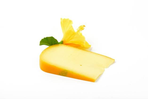 slice of gouda cheese with hibiscus flower on white background CTKPhotoF201703101030601 