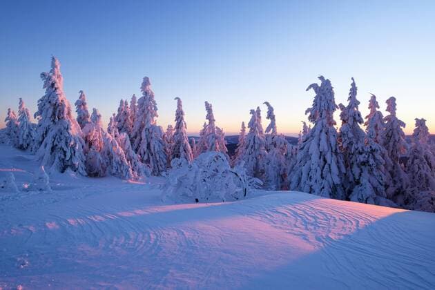 Sonnenuntergang, Arbermandl, verschneite Fichten, Großer Arber, Naturpark Bayerischer Wald, Niederbayern, Bayern, Deutschland, Europa Copyright: imageBROKER/MartinxSiepmann ibxman04502175.jpg