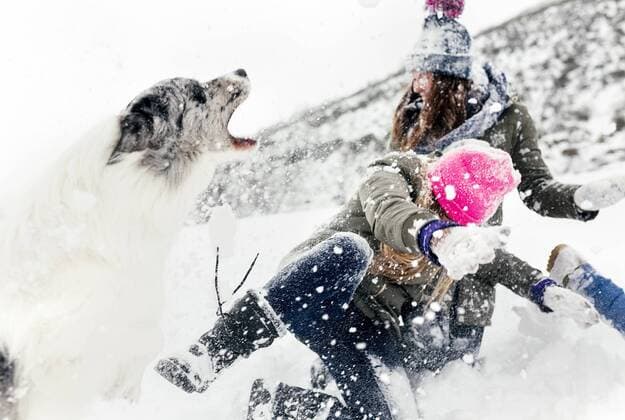 Three friends with their dog having fun in the snow model released Symbolfoto property released  MGOF03050