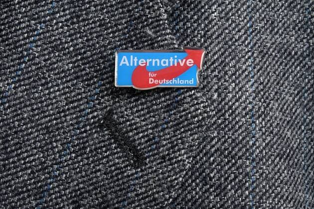 Deutsche Parteien: AfD, Symbolbilder 17.03.2017, Anzugjacke mit Abzeichen der AfD, Jacke, Anzug, Anzugjacke, grau, Abzeichen, AfD, Partei, Alternative für Deutschland, Alternative