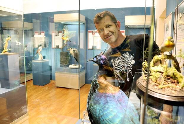 Erfurt - Sonderausstellung Glanzlichter der Präparation 30.03.17 , Erfurt, Naturkundemuseum, am 31.03. wird die Sonderausstellung Glanzlichter der Präparation Präperate und Tier-Kleinplastiken eröffnet (anlässlich der 55. internationalen Arbeitstagung des Verbandes Deutscher Präparatoren in Erfurt) es werden Präparate aus den Bereichen Medizin, Biologie und Geowissenschaften von unterschiedlichen Präparatoren ausgestellt, die Ausstellung soll das breite Spektrum der Präparatoren widerspiegeln im Bild: Präparator Marco Fischer in der Ausstellung an seinen Exponaten