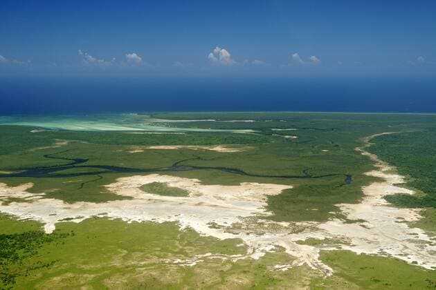 IMAGO Nature: Unsere Erde, Naturschutz, Naturschutzgebiete in Afrika Mangroves along the coast of the Quirimbas National Park in Mozambique. Copyright: xEricxNathan LOOPxIMAGESx ENT23416WT85