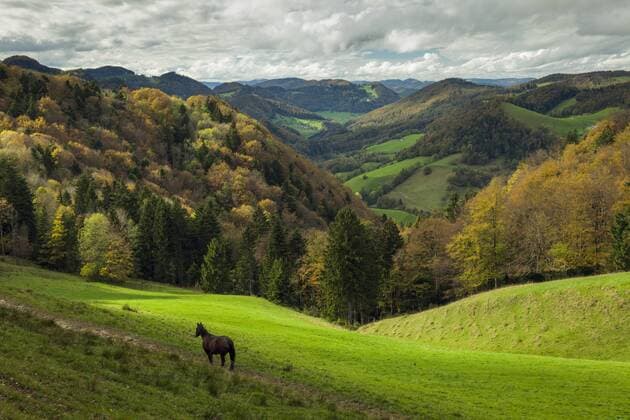 Thal Nature Park in Swiss Jura mountains. Copyright: xSlawekxStaszczuk LOOPxIMAGESx SSK13814WT21