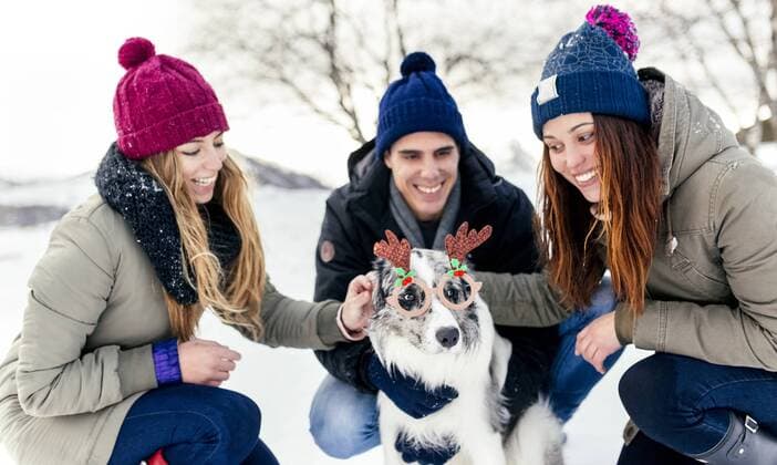 Three friends having fun their border collie in the snow model released Symbolfoto property released  MGOF03147