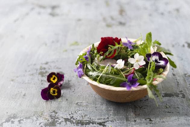 Bowl of leaf salad with red radishes, cress and edible flowers  MYF01905
