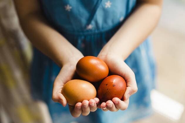 Little girl s hands holding three brown eggs model released Symbolfoto property released  NMSF00056