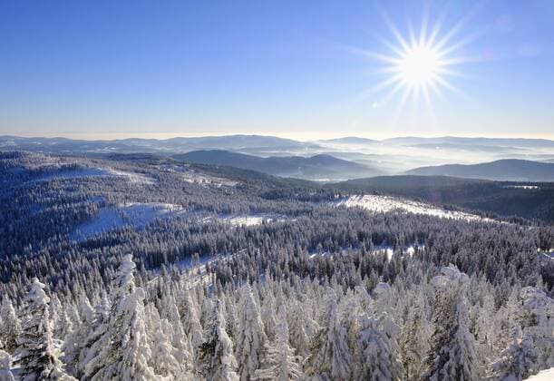 Germany, Bavaria, Bavarian Forest in winter, View from Great Arber southwest  SIEF07367
