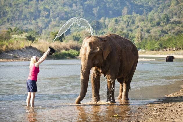 A girl washing an elephant at the Elephant Nature Park near Chiang Mai. Copyright: xAlexxHare LOOPxIMAGESx AHA08215WT025