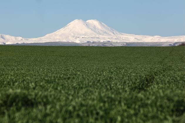 KABARDINO-BALKARIA, RUSSIA - APRIL 26, 2017: A view of mount Elbrus from a winter wheat field. Denis Abramov TASS  TS049CEF