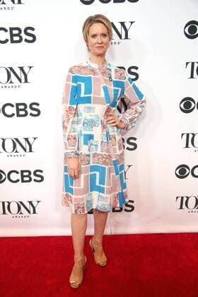 May 3, 2017 - New York, New York, U.S. - CYNTHIA NIXON attends the Tony Awards Meet the Nominees Press Junket.The Sofitel Hotel, NYC.May 3, 2017.Photos by , Photos Inc. New York U.S. - ZUMAms4_ 20170503_zaf_ms4_065 Copyright: xSoniaxMoskowitzx