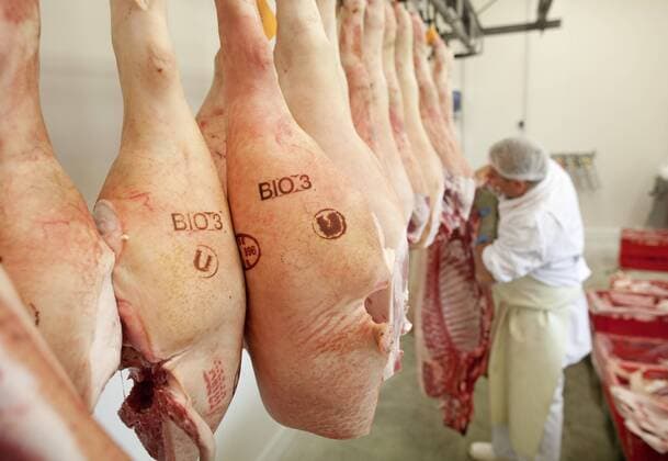Fleischer zerteilt ein Schwein in der Bio Fleisch- und Wurstmanufaktur Velten . A Butcher prepares organic meat in a bio butchery near Berlin , Germany . 22.07.2009 , Velten DEU Deutschland Copyright: xThomasxKoehlerx