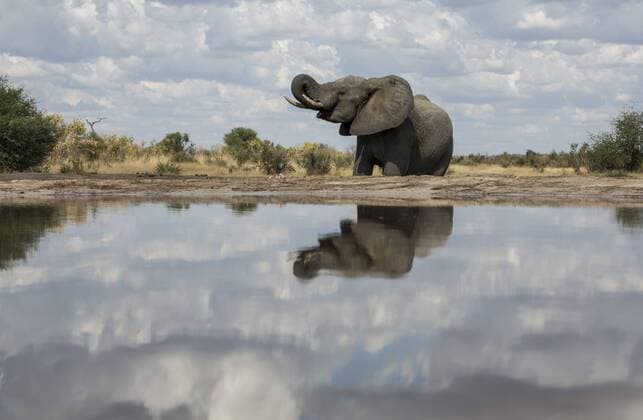 IMAGO Nature: Unsere Erde, Naturschutz, Naturschutzgebiete in Afrika Elefant an einem solarbetriebenen Wasserloch im Khaudum Nationalpark in Namibia. Der Park ist Teil des grenzuebergreifenden Nationalpark - Projektes KAZA, finanziert durch die deutsche Entwicklungszusammenarbeit. Namibia Khaudum Nationalpark, 20.05.2013 Khaudum Nationalpark Namibia Copyright: xThomasxImox