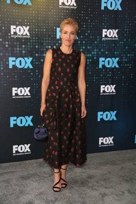 May 15, 2017 - New York, N.Y, USA - GILLIAN ANDERSON attends the Fox 2017 Upfront Red Carpet.Wollman Rink, NYC.May 15, 2017.Photos by , Globe Photos Inc. New York USA - ZUMAms4_ 20170515_zaa_ms4_040 Copyright: xSoniaxMoskowitzx
